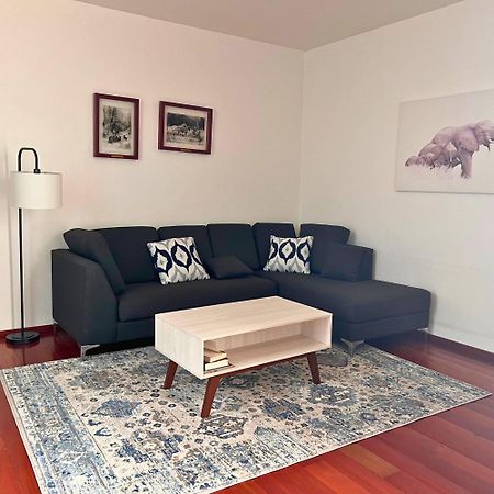 Condesa Residence Amsterdam D Sunny 2Bed 1Bath Apt In Condesa メキシコシティ エクステリア 写真