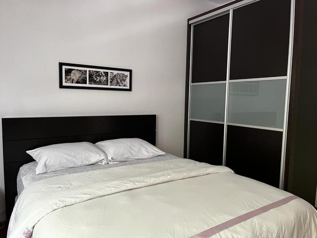 Condesa Residence Amsterdam D Sunny 2Bed 1Bath Apt In Condesa メキシコシティ エクステリア 写真