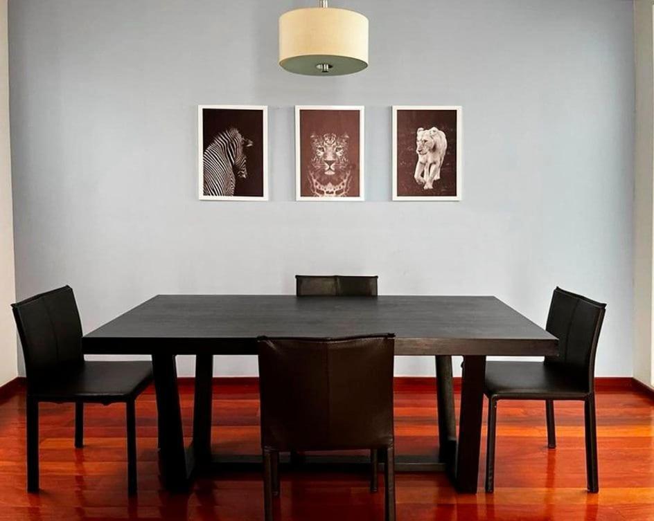 Condesa Residence Amsterdam D Sunny 2Bed 1Bath Apt In Condesa メキシコシティ エクステリア 写真