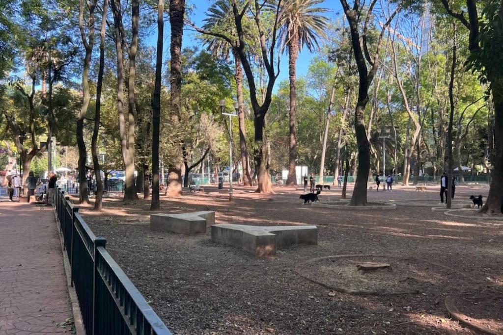 Condesa Residence Amsterdam D Sunny 2Bed 1Bath Apt In Condesa メキシコシティ エクステリア 写真