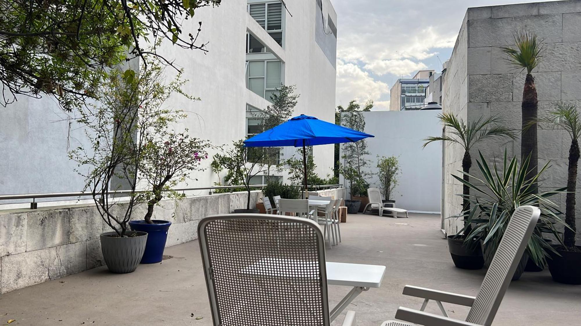 Condesa Residence Amsterdam D Sunny 2Bed 1Bath Apt In Condesa メキシコシティ エクステリア 写真