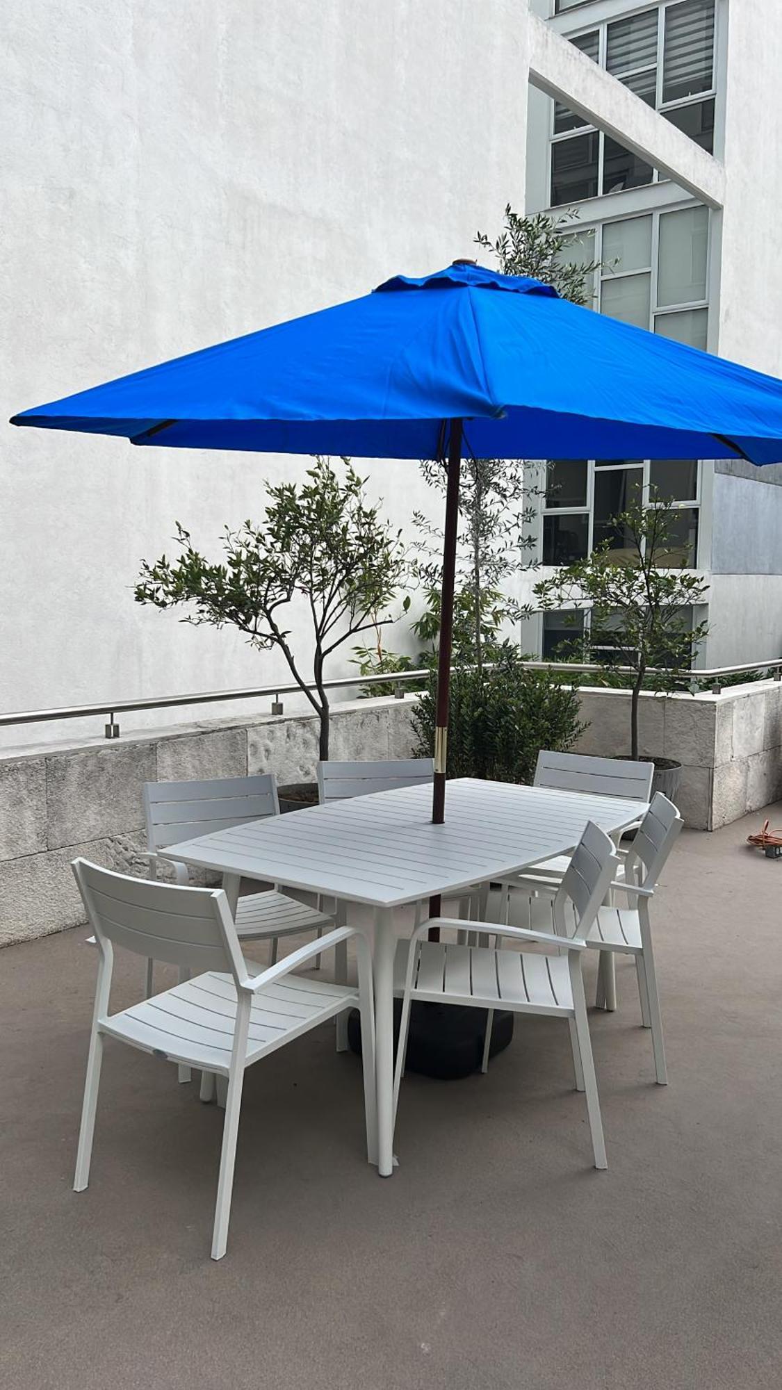 Condesa Residence Amsterdam D Sunny 2Bed 1Bath Apt In Condesa メキシコシティ エクステリア 写真