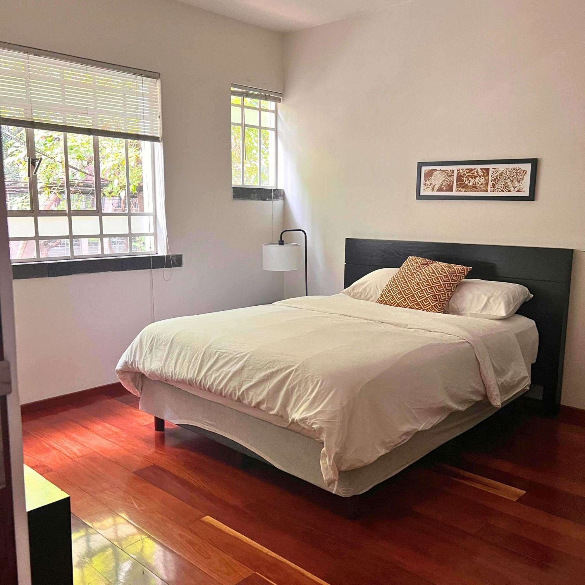 Condesa Residence Amsterdam D Sunny 2Bed 1Bath Apt In Condesa メキシコシティ エクステリア 写真